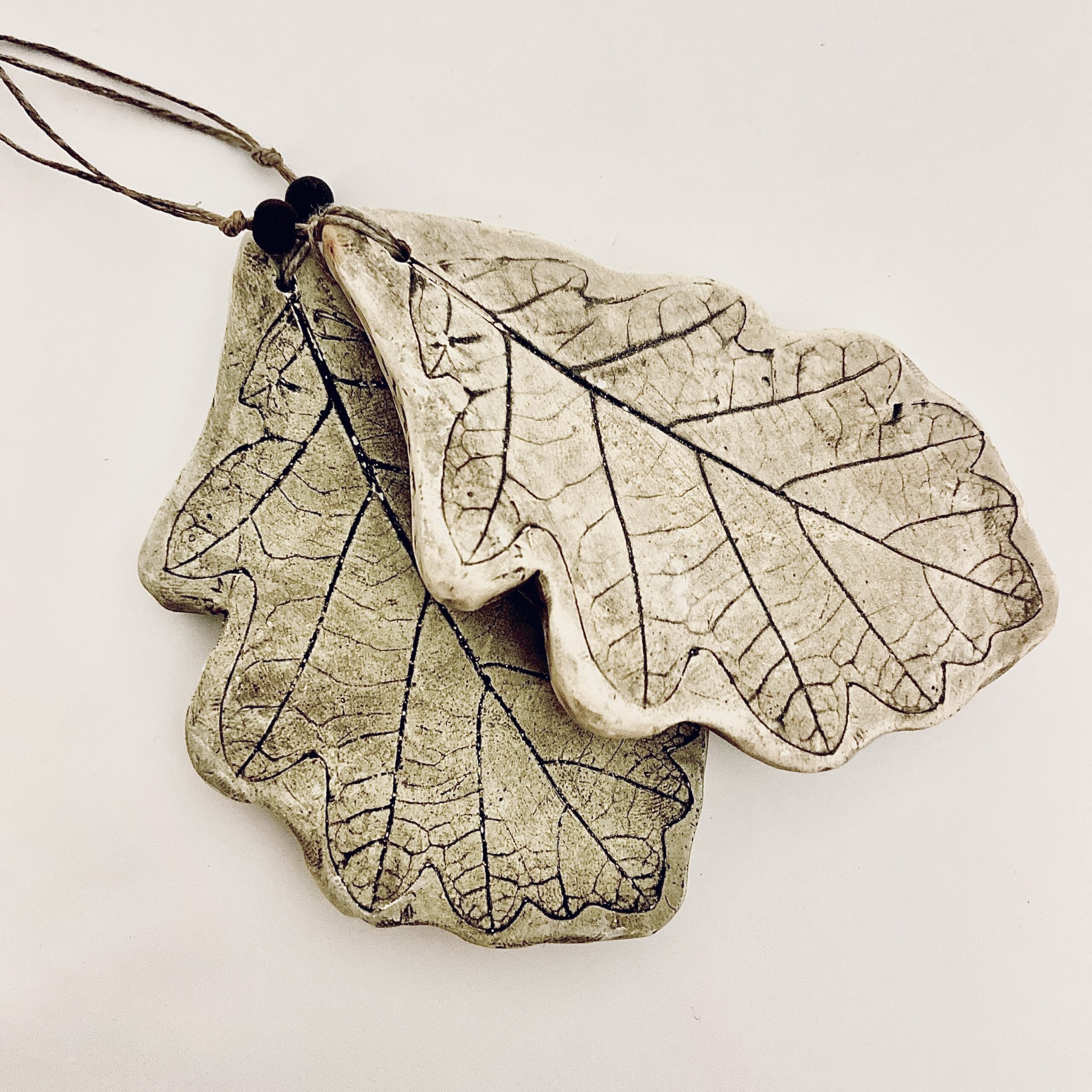 liść dąb liść dąb