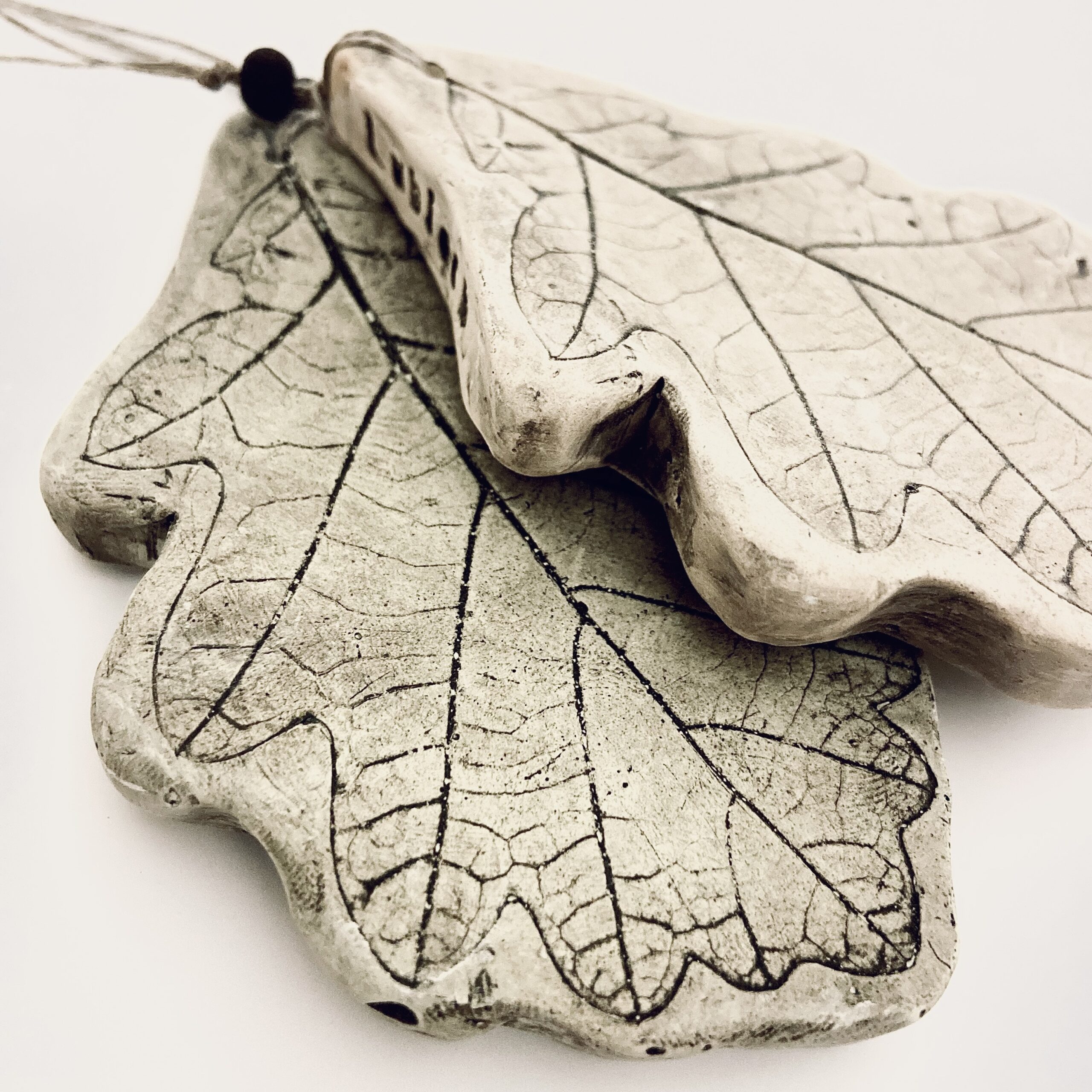 liść dębu liść dębu